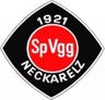 Avatar Bild für SPVGG NECKARELZ E.V.