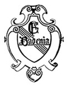 Avatar Bild für FC BADENIA ROHRBACH E.V.