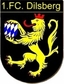 Avatar Bild für SpG Dilsberg 1/Bammental 2