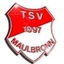 Avatar Bild für TSV Maulbronn 2