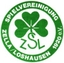 Avatar Bild für Spvgg. Zella/Losh. II