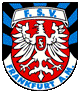 Avatar Bild für FSV Frankfurt