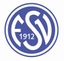 Avatar Bild für FSV Dorheim