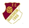 Avatar Bild für FC 1966 Büdesheim