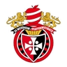 Avatar Bild für TSG 1861 Wehrheim
