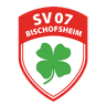 Avatar Bild für Svgg. 07 Bischofsheim