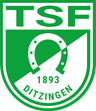 Avatar Bild für TSF Ditzingen