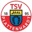 Avatar Bild für TSVgg Plattenhardt III