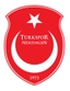 Avatar Bild für Türkspor Nürtingen 1973