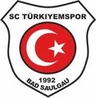 Avatar Bild für SC Türkiyemspor Saulgau