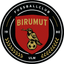 Avatar Bild für FC Birumut Ulm