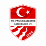 Avatar Bild für Türk Pamukkalespor Haigerloch