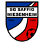 Avatar Bild für SG Saffig