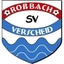 Avatar Bild für SV Roßbach/Verscheid 9er