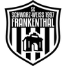 Avatar Bild für DJK SW Frankenthal 1997