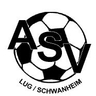 Avatar Bild für ASV 1953 Lug-Dimbach