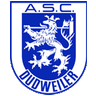 Avatar Bild für Allgemeiner Sportclub Dudweiler