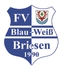 Avatar Bild für FV Blau-Weiß`90 Briesen II