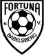 Avatar Bild für Fortuna Babelsberg III