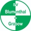 Avatar Bild für SV Blumenthal/Grabow U19