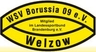 Avatar Bild für Welzower SV Borussia 09