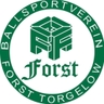 Avatar Bild für BSV Forst Torgelow