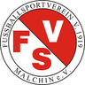 Avatar Bild für FSV 1919 Malchin