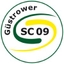 Avatar Bild für Güstrower SC 09 III