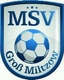 Avatar Bild für MSV Groß Miltzow II