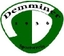Avatar Bild für Demminer SV 91 I