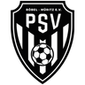 Avatar Bild für PSV Röbel-Müritz