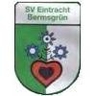 Avatar Bild für SV Eintracht Bermsgrün