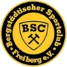 Avatar Bild für BSC Freiberg