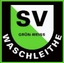 Avatar Bild für SV Grün-Weiß Waschleithe