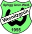 Avatar Bild für SpG Wernitzgrün / Markneukirchen 2
