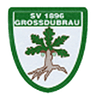 Avatar Bild für SV 1896 Großdubrau