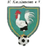 Avatar Bild für SC Kleinhänchen