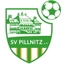 Avatar Bild für SpG Pillnitz / Birkwitz 2