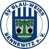 Avatar Bild für SV Blau-Weiß Bennewitz