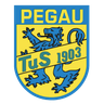 Avatar Bild für TuS Pegau 1903