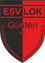 Avatar Bild für ESV Lokomotive Güsten 1