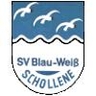 Avatar Bild für SV Blau-Weiß Schollene