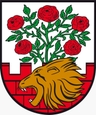 Avatar Bild für SV Rot-Weiß Groß Rosenburg