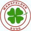 Avatar Bild für Mansfelder SV