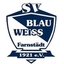 Avatar Bild für SV BW 1921 Farnstädt II