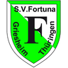 Avatar Bild für SV Fortuna Griesheim e.V.