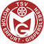 Avatar Bild für TSV Motor Gispersleben I
