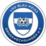 Avatar Bild für LSG Blau-Weiß Großwechsungen e.V.