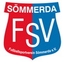 Avatar Bild für SG FSV Sömmerda II