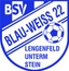 Avatar Bild für SG BSV BW Lengenfeld/St.